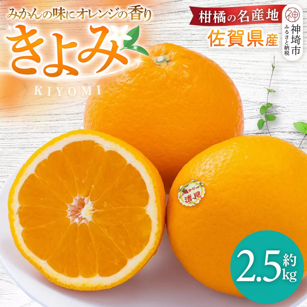 【先行受付 令和8年3月より発送】佐賀県産柑橘『清見』約2500g【フルーツ 果物 みかん オレンジ 柑橘 デザート ふるさと納税】(H108109)