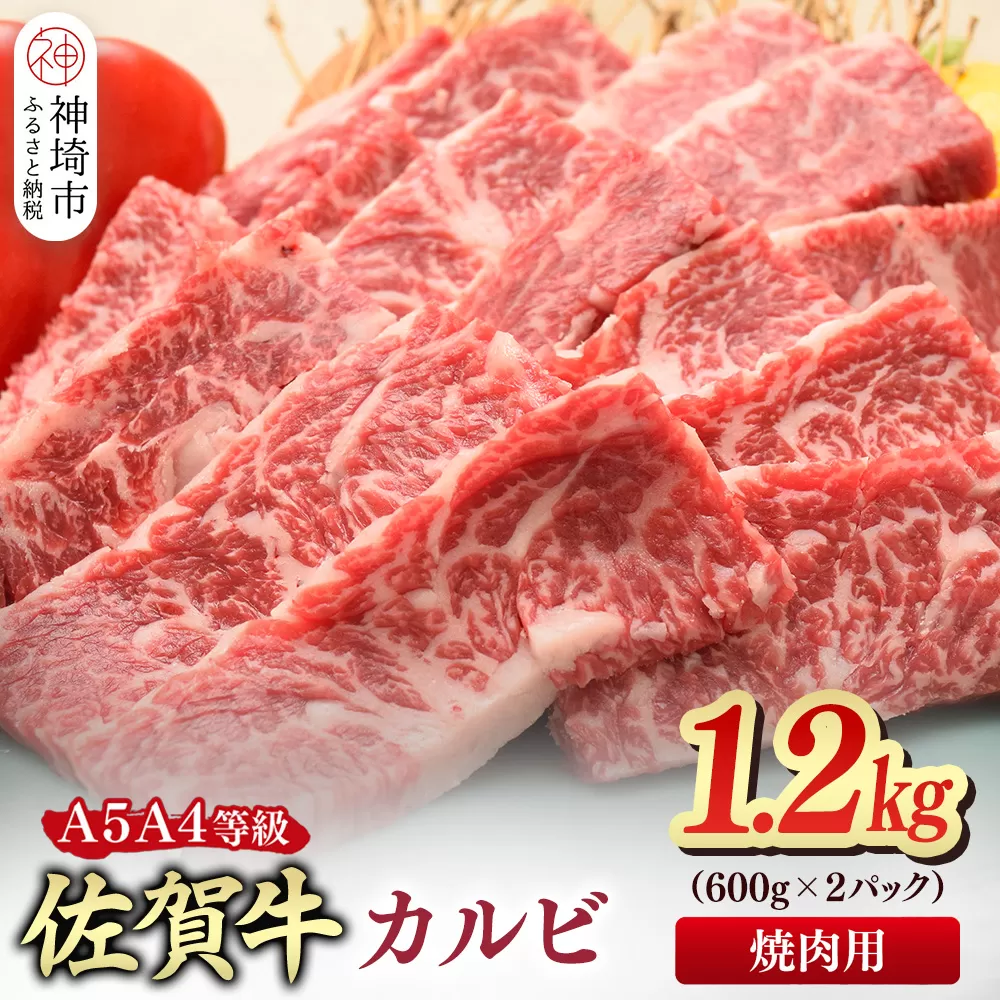 佐賀牛 カルビ 焼肉用 1.2kg(600g×2)【A4～A5ランク】【希少 国産和牛 牛肉 肉 牛 焼肉】(H085207)