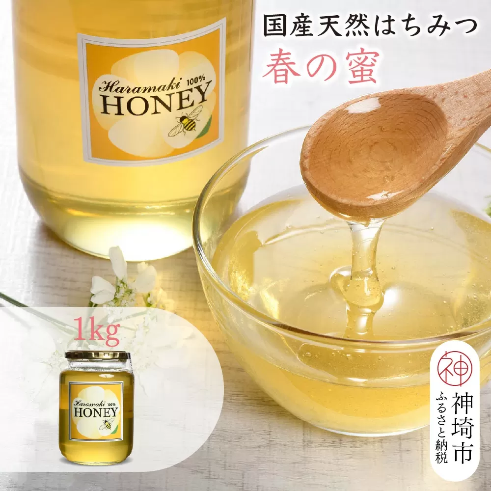 【数量限定】2025年産 国産天然蜂蜜（春の蜜）1kg【蜂蜜 パンケーキ ヨーグルト 甘み フルーティ とろとろ】(H049115)