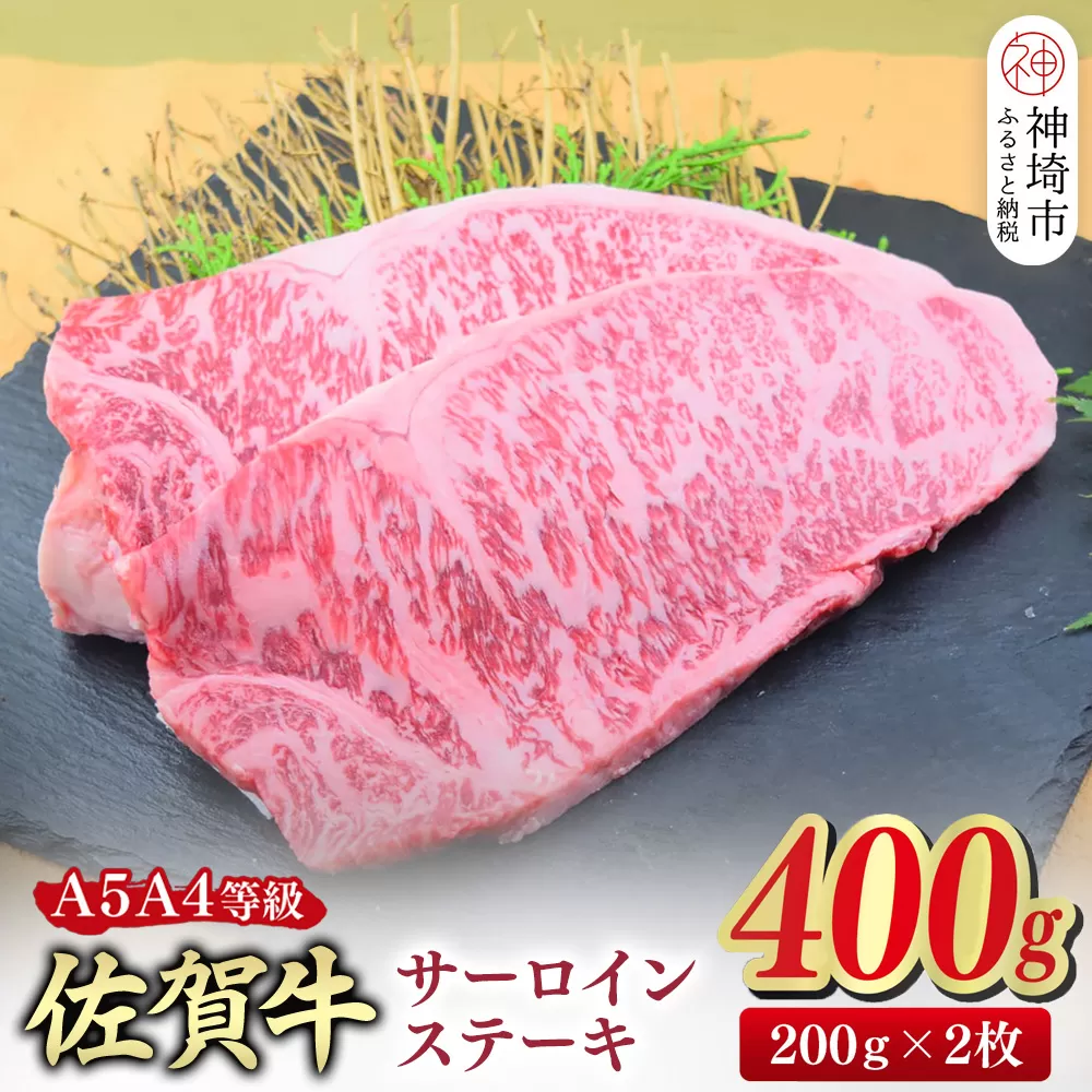佐賀牛 サーロインステーキ 200g×2枚(合計400g)【A4～A5ランク】【ステーキ 希少 国産和牛 牛肉 肉 牛】(H085211)