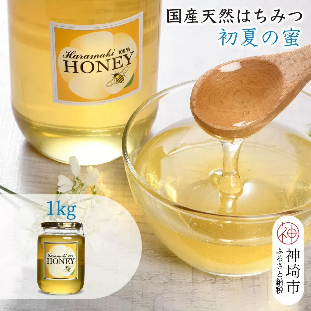 【数量限定】2025年産 国産天然蜂蜜（初夏の蜜）1kg【蜂蜜 パンケーキ ヨーグルト 甘み フルーティ とろとろ】(H049118)