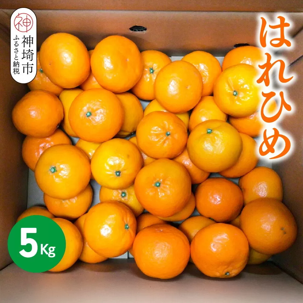 【2025年12月上旬より発送開始】はれひめ 5kg【みかん オレンジ 柑橘 フルーツ デザート さっぱり リフレッシュ】(H116151)