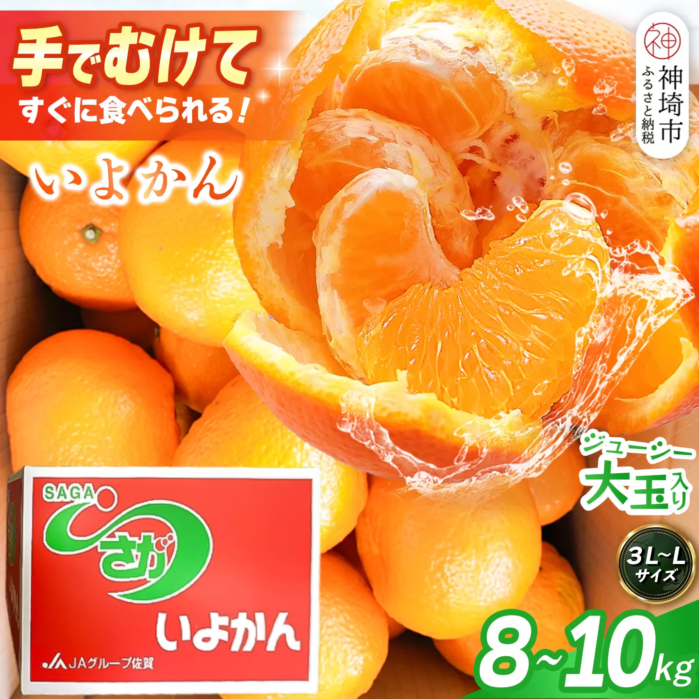 【2027年1月中旬より発送開始】いよかん 8〜10kg(3L〜Lサイズ)【みかん 柑橘 フルーツ デザート】(H116141)