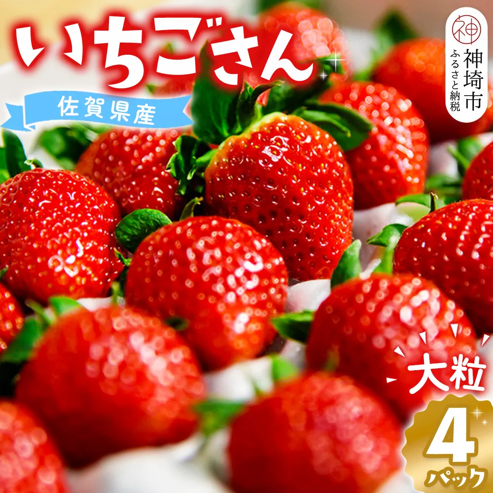 【先行受付 令和9年1月より発送】佐賀県産『いちごさん』4Pセット【苺 イチゴ ブランドいちご 大粒 果物 フルーツ デザート ふるさと納税】(H108101)