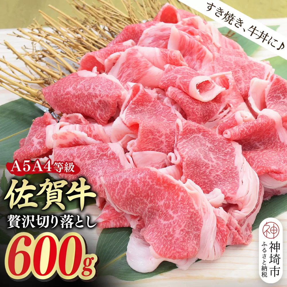 佐賀牛 贅沢 切り落とし 600g【A4～A5ランク】【すき焼き しゃぶしゃぶ 牛丼 A5 A4 希少 国産和牛 牛肉 肉 牛】(H085208)