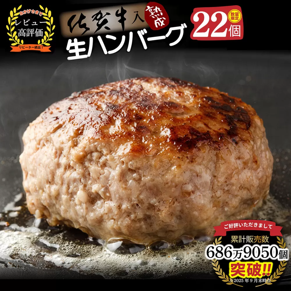 【14日以内発送！数量限定】佐賀牛入り ハンバーグ 22個 2.6kg(120g×22個)【佐賀牛 黒毛和牛 ブランド牛 九州 ハンバーグ 牛肉 豚肉 国産 お弁当 おかず 惣菜 おすすめ 人気】(H083106)