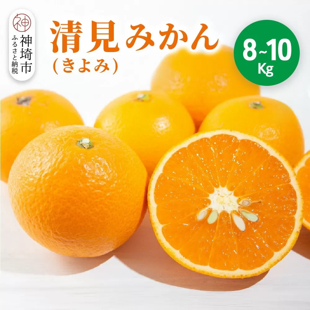 【2026年3月中旬より発送開始】清見(きよみ)みかん 8kg〜10kg【みかん オレンジ 柑橘 フルーツ デザート】(H116139)
