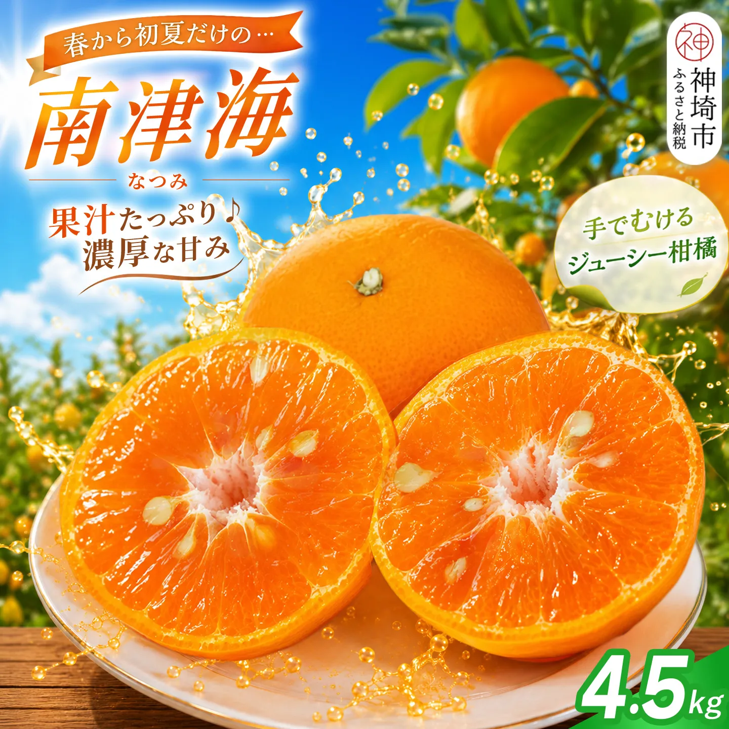 【2027年4月上旬より発送開始】南津海(なつみ)みかん 4.5kg【みかん 柑橘 オレンジ ポンカン フルーツ デザート 果汁】(H116156)