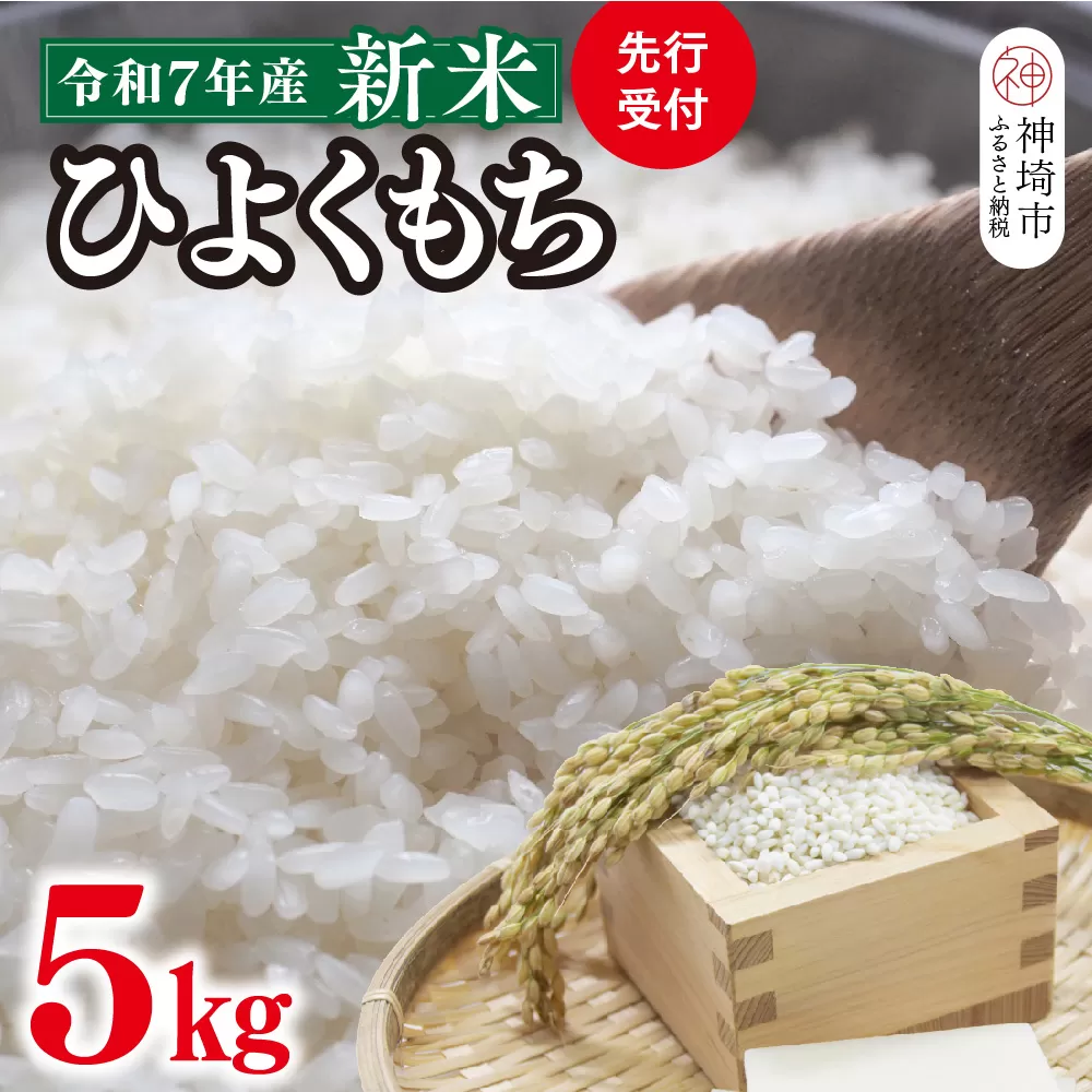 【令和7年産 新米 先行受付】ひよくもち5kg【ひよくもち もち米 九州 肥沃 食感 お餅 赤飯 おこわ ちまき 美味しい】(H061843)