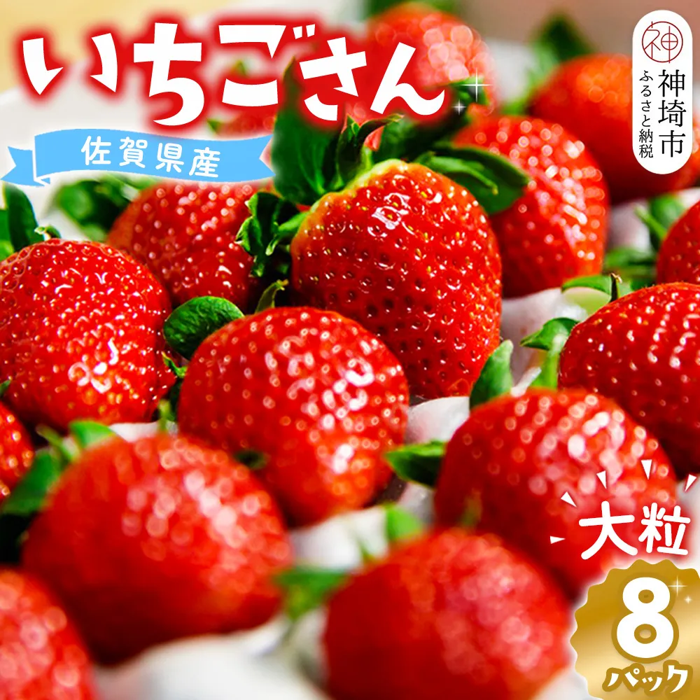 【先行受付 令和9年1月より発送】佐賀県産『いちごさん』8Pセット【苺 イチゴ ブランドいちご 大粒 果物 フルーツ デザート ふるさと納税】(H108102)