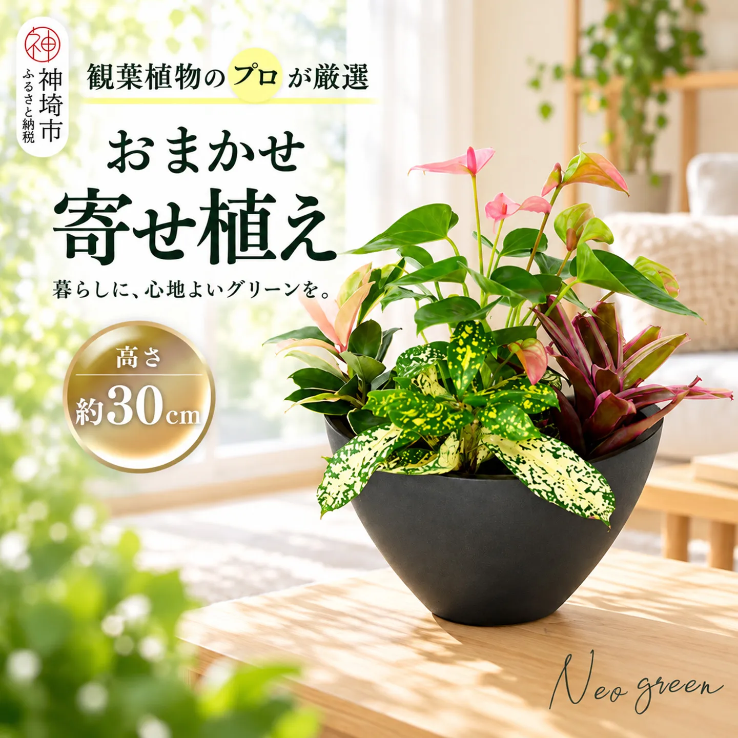オリジナルアレンジ観葉植物　Sサイズ【寄せ植え インテリア リビング 室内 グリーン 植物 癒し リフレッシュ】 (H086109)