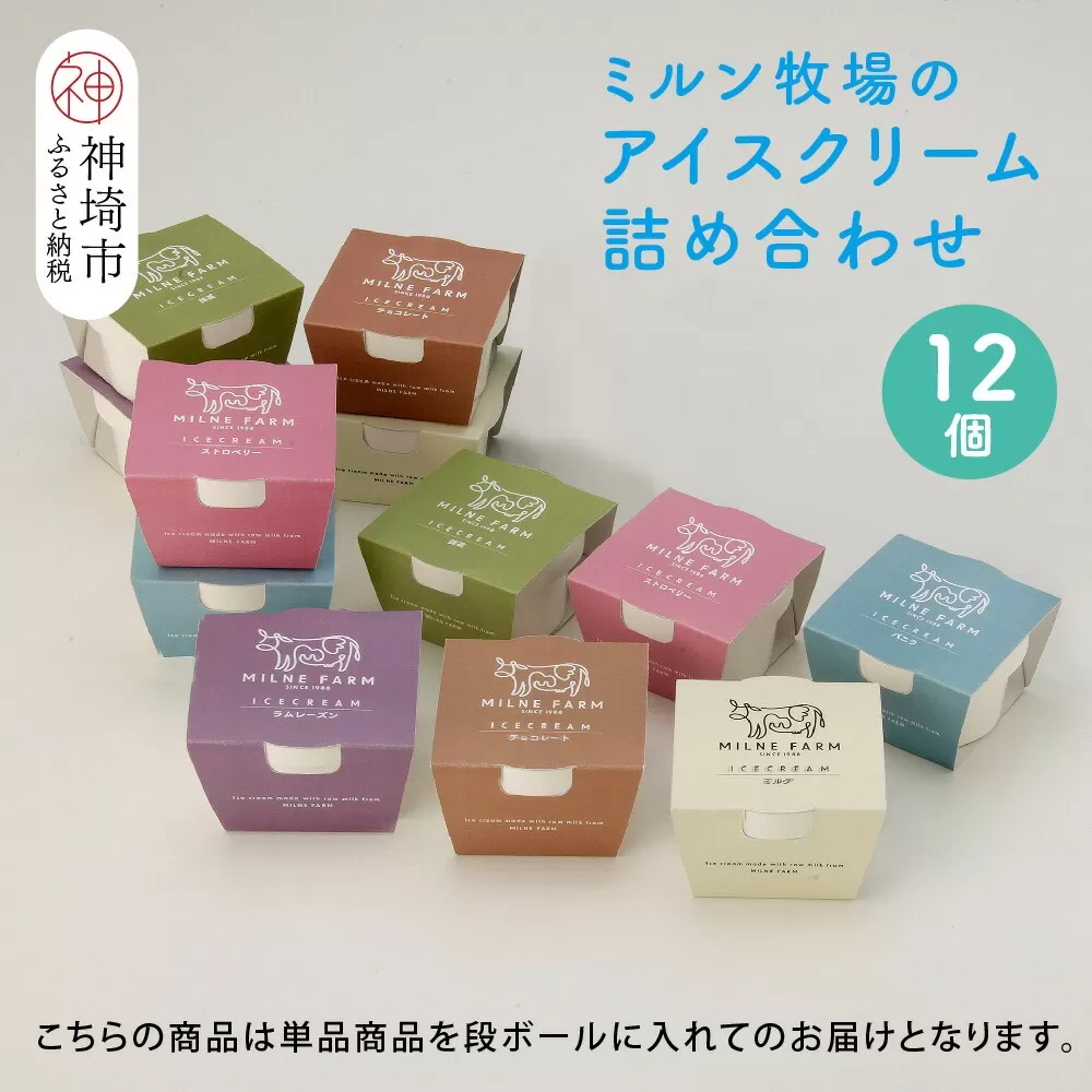 佐賀脊振高原ミルン牧場のアイスクリーム12個セット【手作り 濃厚 生乳 ミルク バニラ 抹茶 チョコ ストロベリー ラムレーズン】(H102125)