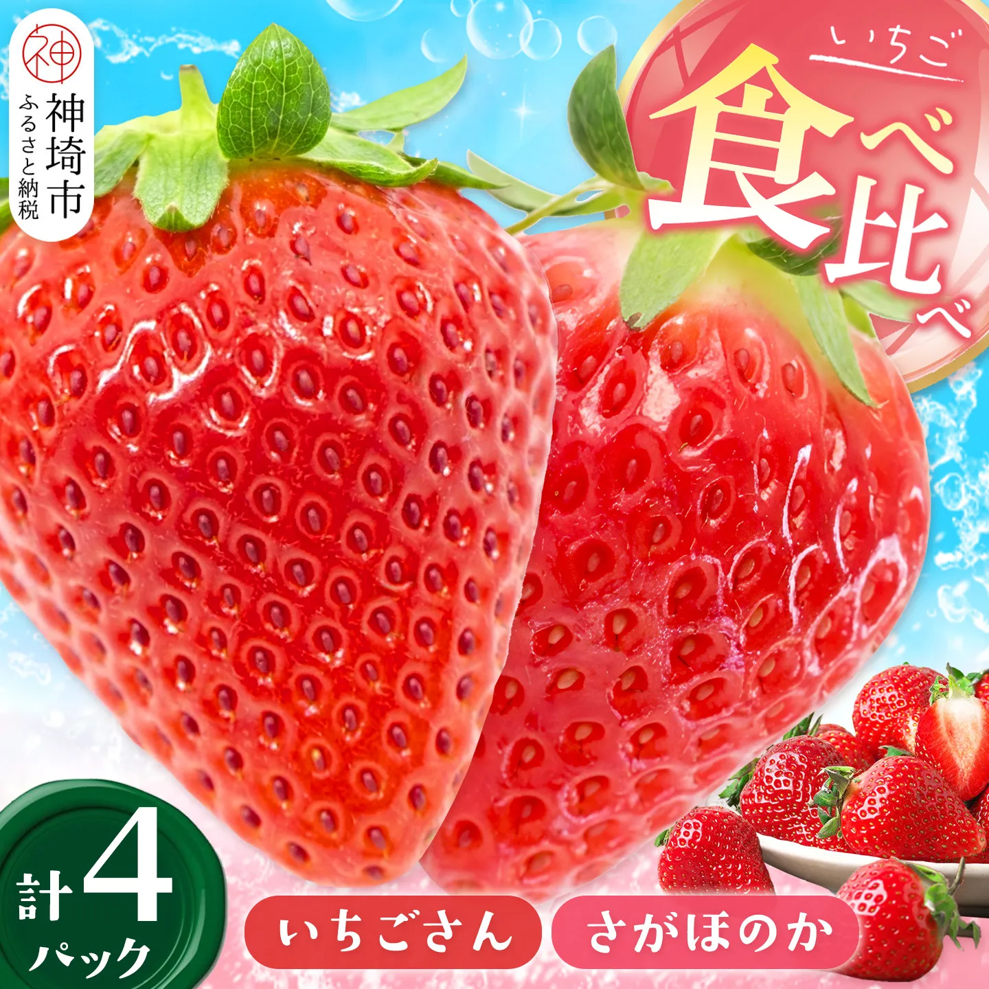 【2027年1月中旬より発送開始】苺(さがほのか・いちごさん)各2パック【果物 くだもの フルーツ イチゴ 佐賀】(H116136)