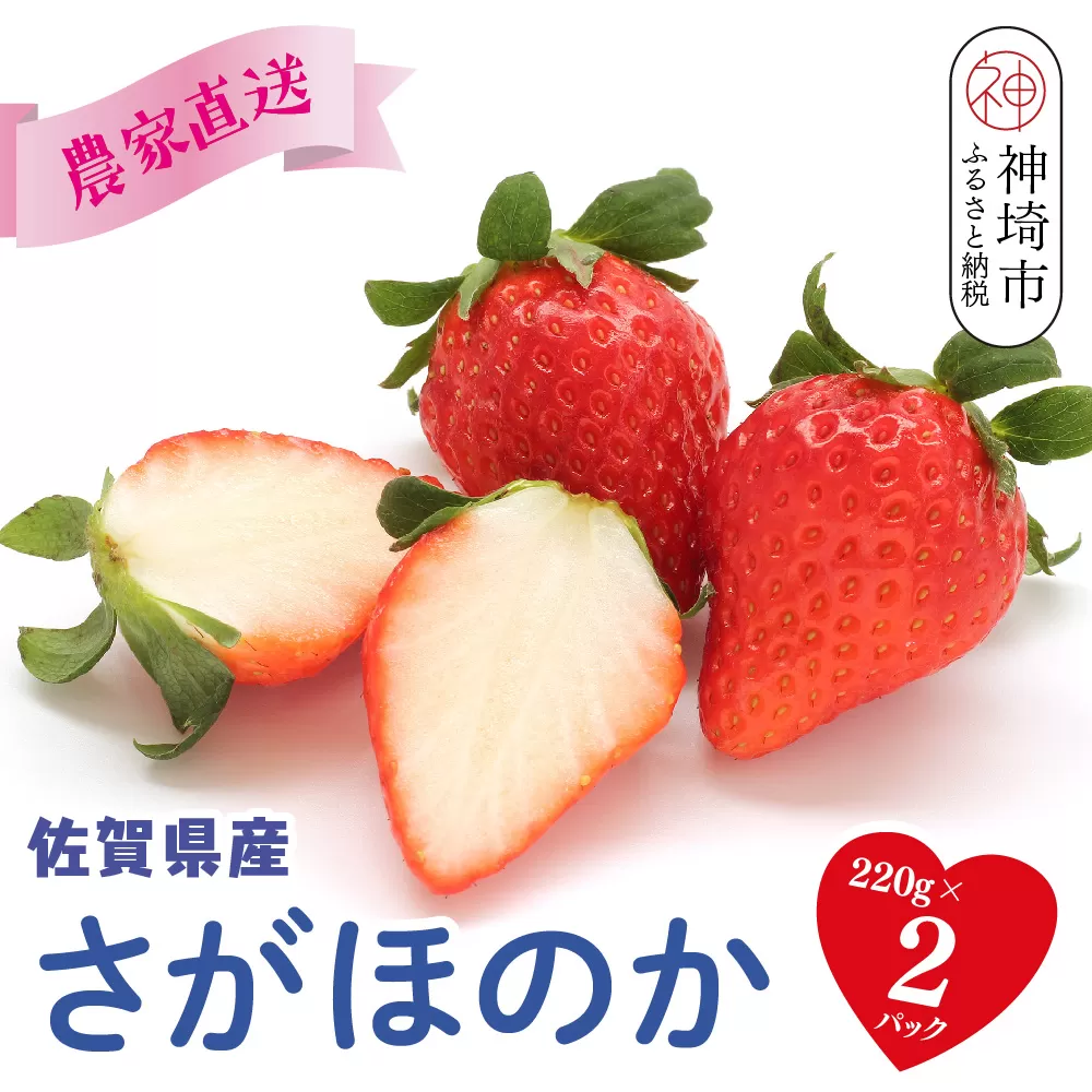 【R8年1月より発送 農家直送】さがほのか220g×2パック【いちご 苺 イチゴ 果物 フルーツ スイーツ デザート ふるさと納税】(H117101)