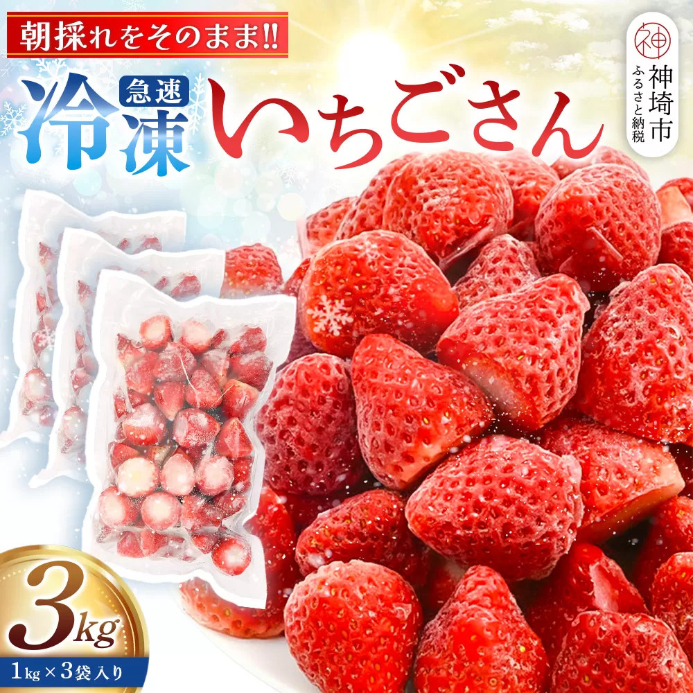 冷凍いちご 3kg（いちごさん)【佐賀県産 ブランド 冷凍いちご フレッシュ 冷凍フルーツ スムージー デザート お菓子作り シャーベット 甘い みずみずしい 無添加】(H126103)
