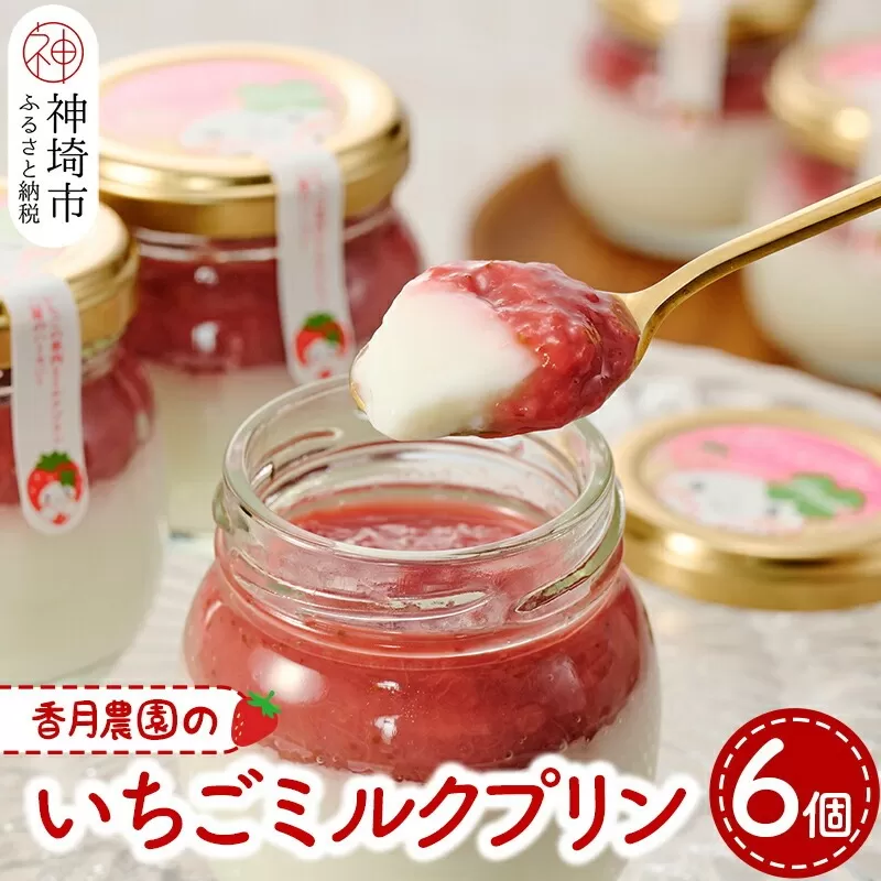 いちごミルクプリン6個セット【佐賀県産 さがほのか シャーベット プリン県  冷凍 果肉ソース スイーツ】 (H017113)