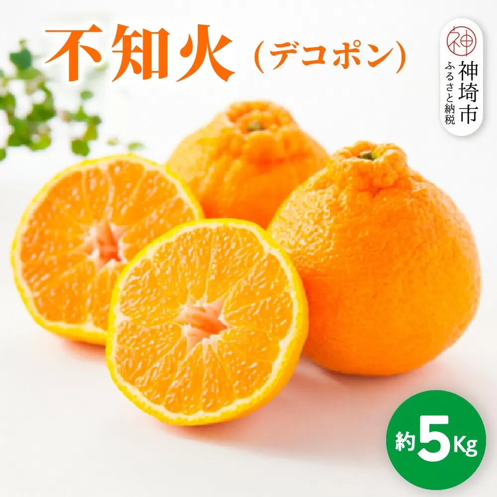 【2026年1月中旬より発送開始】不知火(デコポン) 約5kg【みかん 柑橘 清美 ポンカン フルーツ デザート】(H116137)