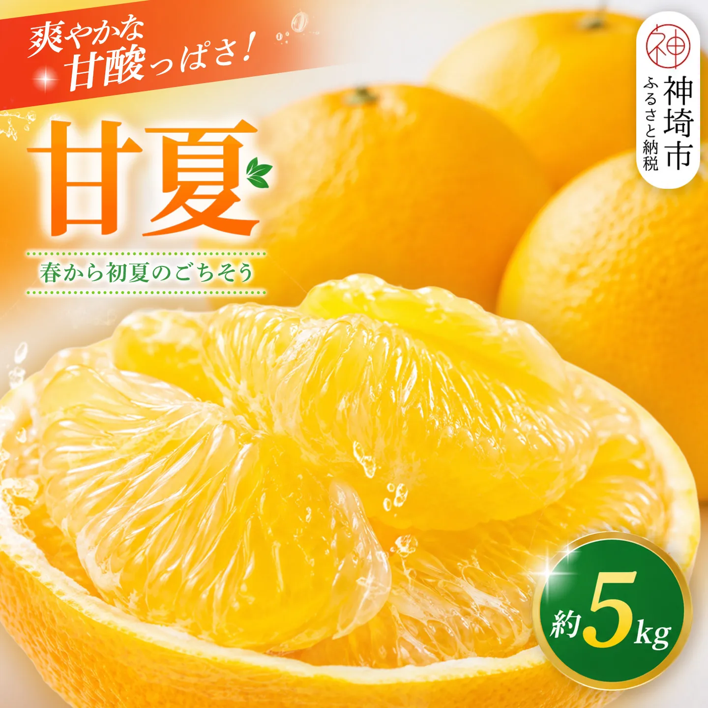 【2027年4月中旬より発送開始】甘夏 5kg【みかん 柑橘 フルーツ デザート】(H116143)