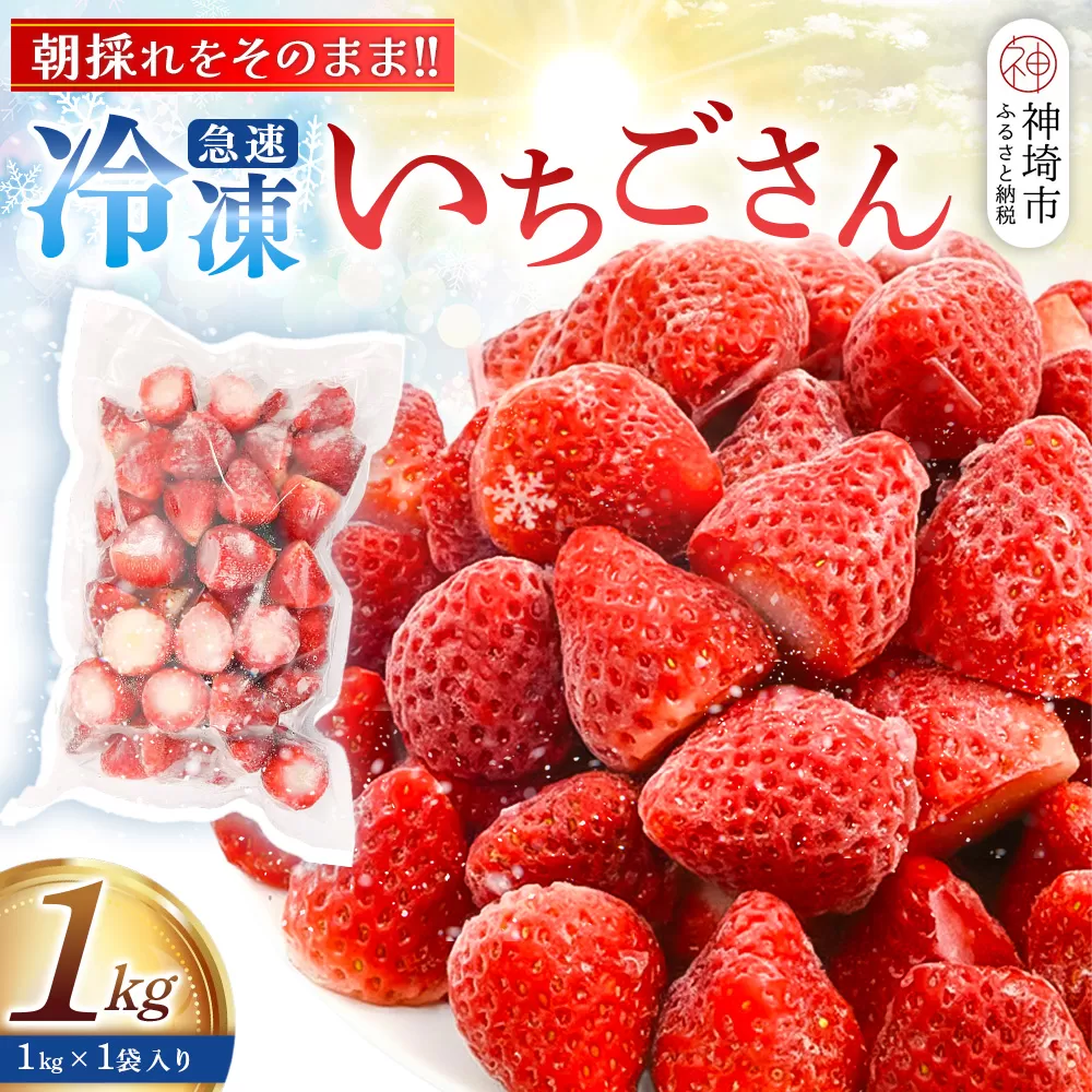 冷凍いちご 1kg(いちごさん)【佐賀県産 ブランド 冷凍いちご フレッシュ 冷凍フルーツ スムージー デザート お菓子作り シャーベット 甘い みずみずしい 無添加】(H126101)