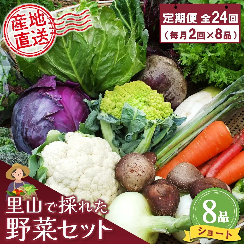 年間定期便24回 里山で採れた野菜セットショート 8品 【有機野菜 おまかせ野菜セット イタリア野菜 西洋野菜 定期便】(H078138)