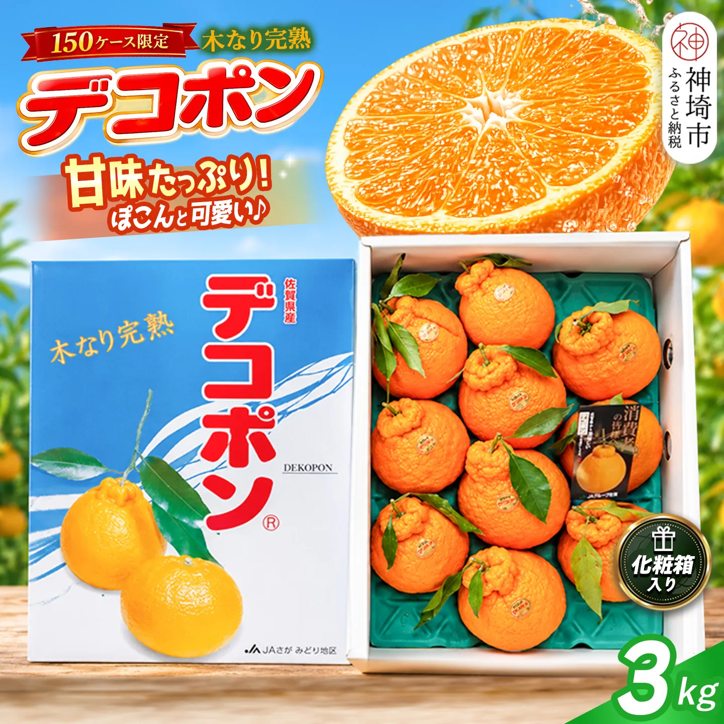 【2027年3月中旬より発送開始】【木なり完熟】デコポン 3kg 150ケース限定【みかん 柑橘 清美 ポンカン フルーツ デザート】(H116148)