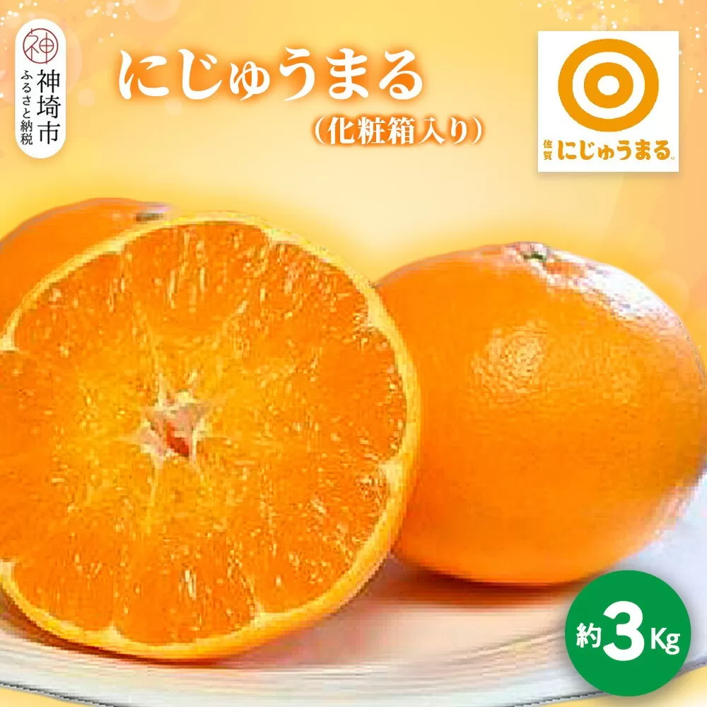 【2026年3月上旬より発送開始】にじゅうまる 約3kg 化粧箱入り【佐賀県 みかん 柑橘 果物 くだもの フルーツ】(H116161)