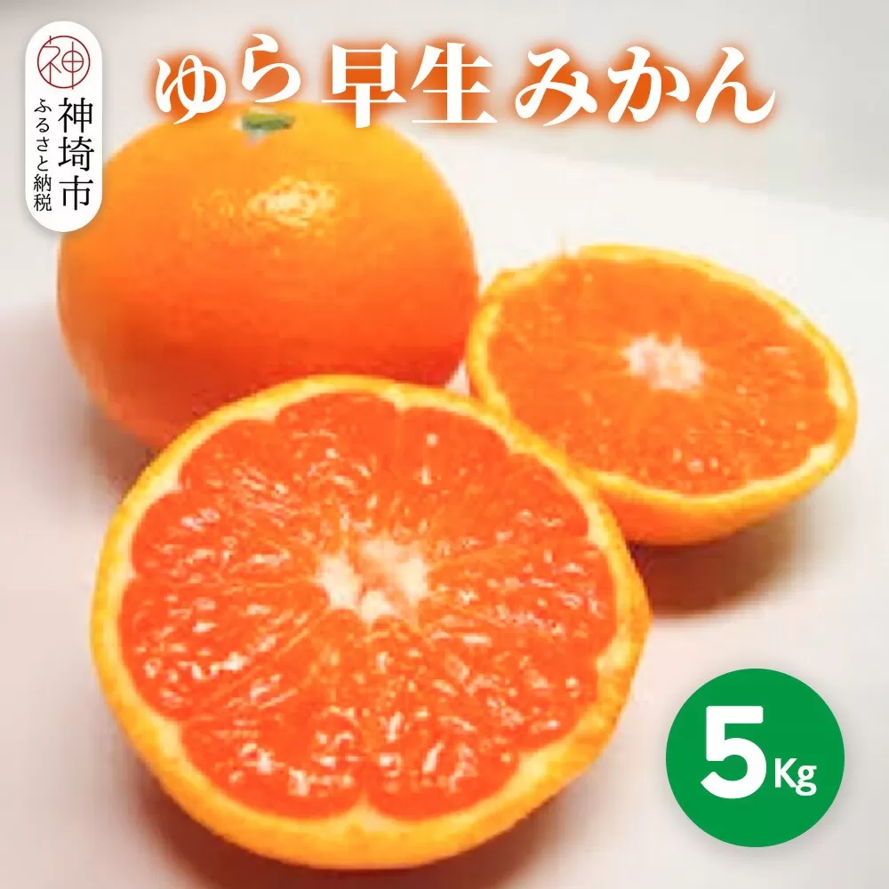 【2025年9月下旬より発送開始】ゆら早生みかん 5kg【みかん 柑橘 フルーツ デザート】(H116140)