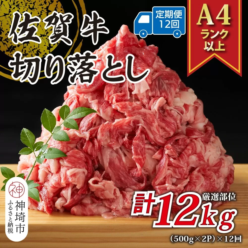 【12か月定期便】艶さし！【A4〜A5】佐賀牛切り落とし 1kg(500g×2P)×12回【肉 牛肉 ブランド牛 黒毛和牛 ふるさと納税】(H112180)