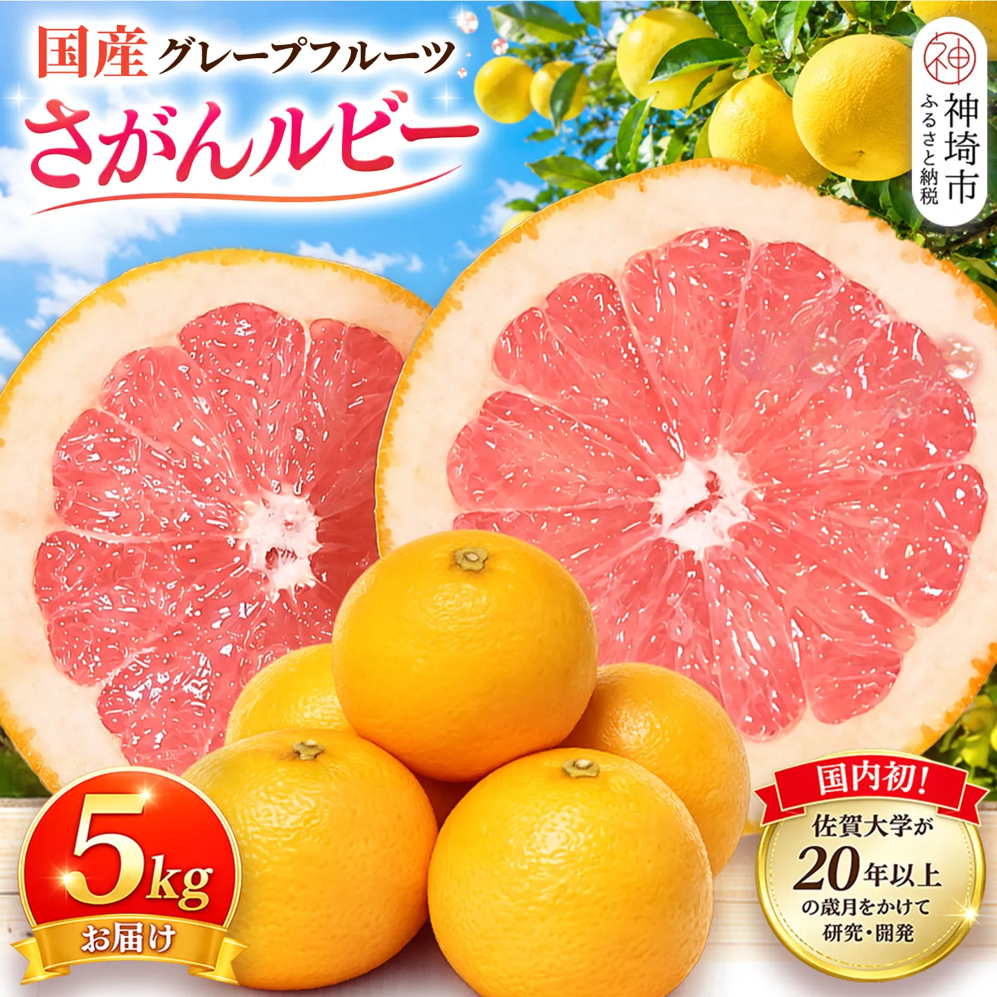 【2027年3月中旬より発送開始】さがんルビー 5kg(グレープフルーツ)【柑橘 フルーツ デザート ジューシー リフレッシュ】(H116149)