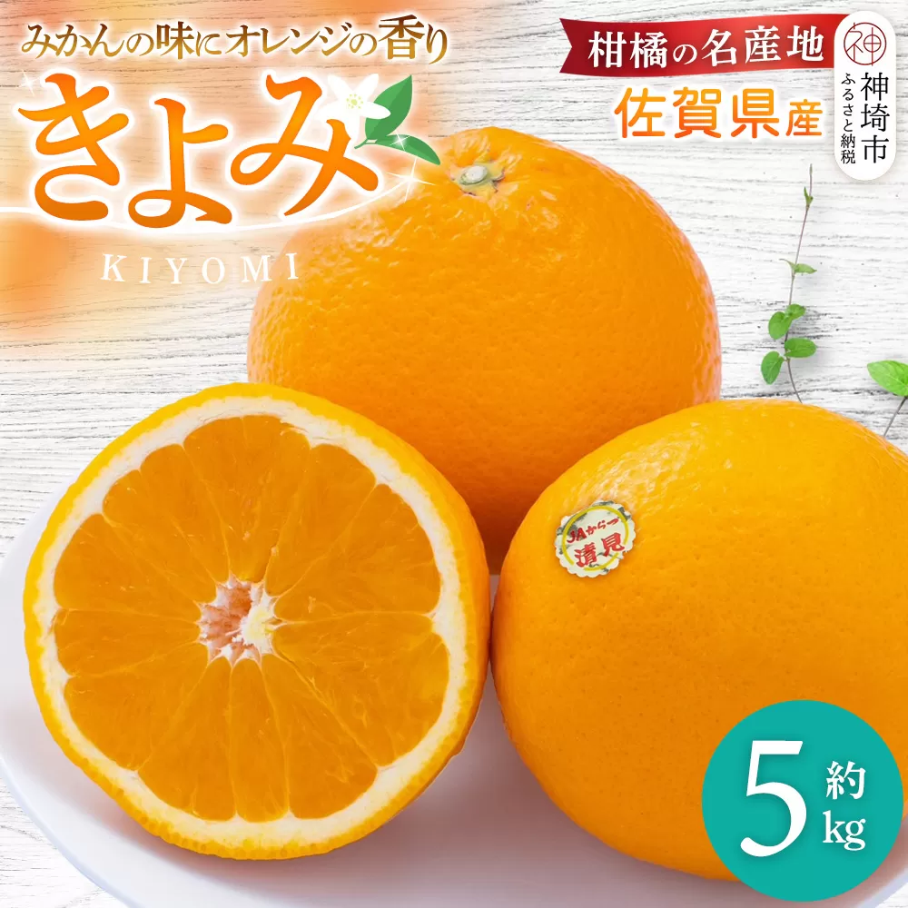 【先行受付 令和8年3月より発送】佐賀県産柑橘『清見』約5000g【フルーツ 果物 みかん オレンジ 柑橘 デザート ふるさと納税】(H108110)