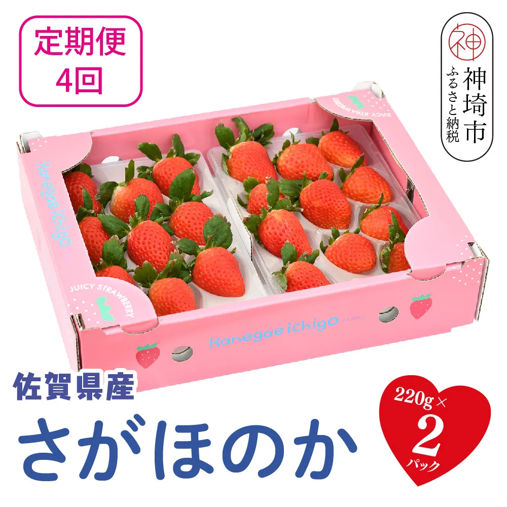 【先行受付 R9年1月より発送 農家直送】【4回定期便】さがほのか220g×2パック【いちご 苺 イチゴ 果物 フルーツ スイーツ デザート ふるさと納税】(H117103)
