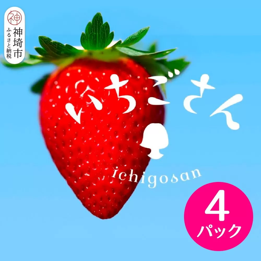 【2026年1月上旬より発送開始】いちごさん4パック【果物 くだもの フルーツ イチゴ 苺 佐賀】(H116133)
