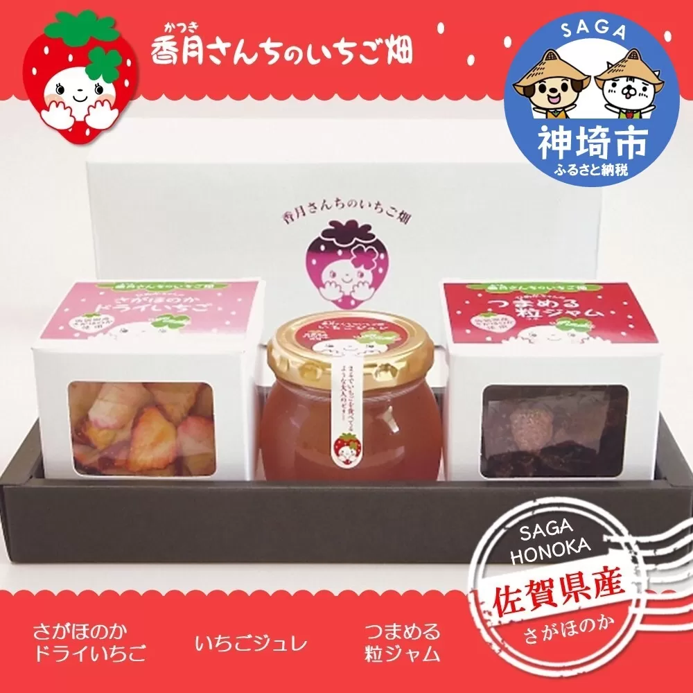 ひめかちゃんのキューブセット【いちご イチゴ 苺 さがほのか ドライフルーツ 佐賀県産 プチギフト 凍らせてシャーベット】 (H017114)