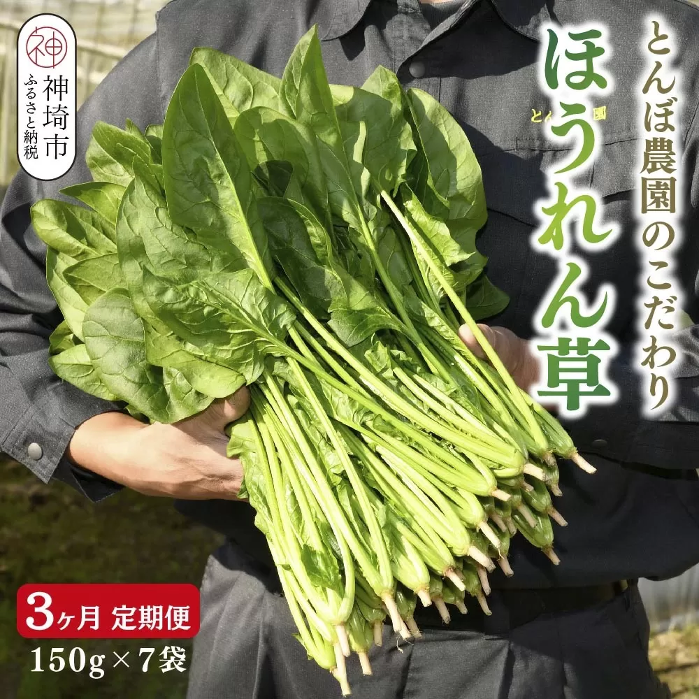 【定期便3回】ほうれん草 約1kg（150g x 7袋）【合計 約3kg】 【ハウス栽培 産地直送 クール便 新鮮発送 栄養豊富 佐賀県脊振山麓産】(H091119)