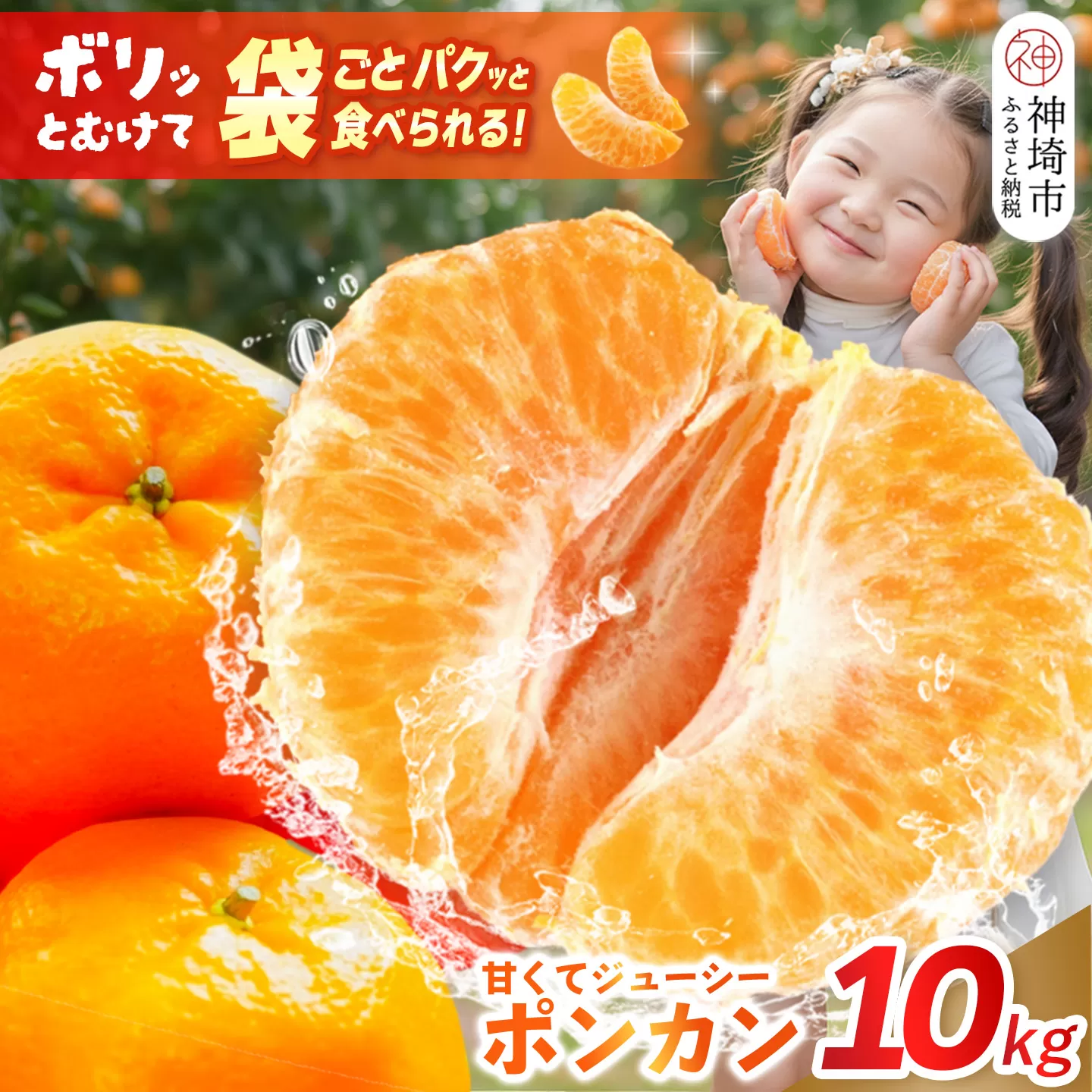 【2027年1月中旬より発送開始】ポンカン 10kg【みかん 柑橘 フルーツ デザート 貯蔵 高糖度】(H116147)