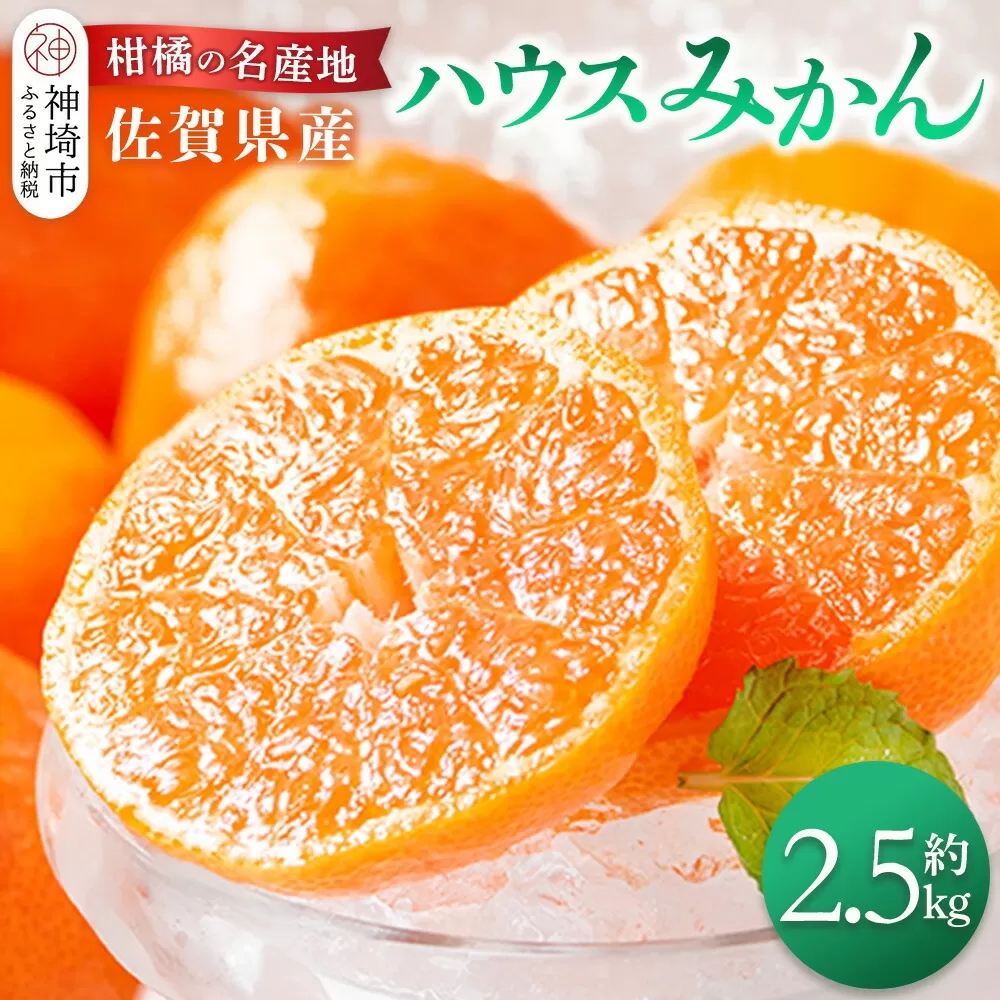 【先行受付 令和7年6月より発送】佐賀県産『ハウスみかん』約2500g【果物 フルーツ みかん 柑橘 ビタミン デザート ふるさと納税】(H108115)