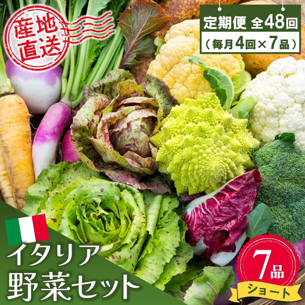 年間定期便48回 イタリア野菜セットショート 7品 【有機野菜 おまかせ野菜セット イタリア野菜 西洋野菜 定期便】(H078128)
