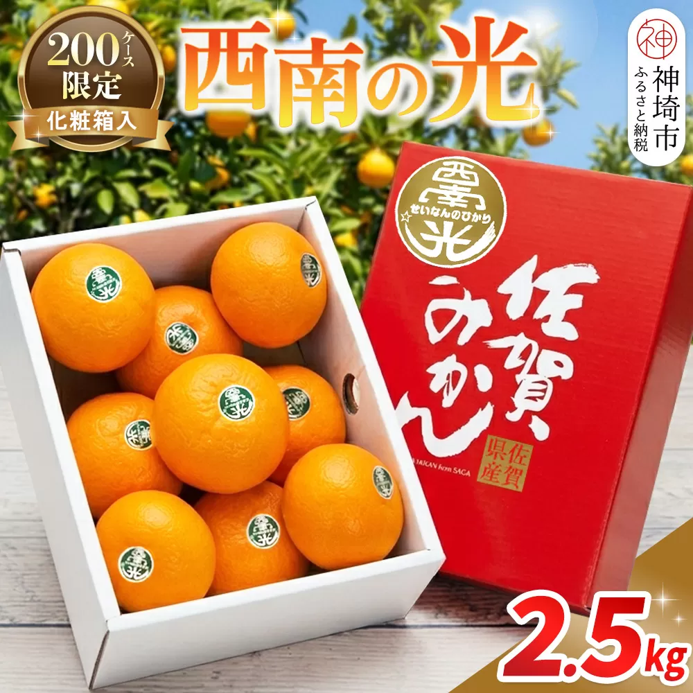 【2026年12月上旬より発送開始】西南の光 2.5kg(化粧箱入り)【みかん 柑橘 フルーツ デザート βクリプトキサンチン 手土産】(H116150)