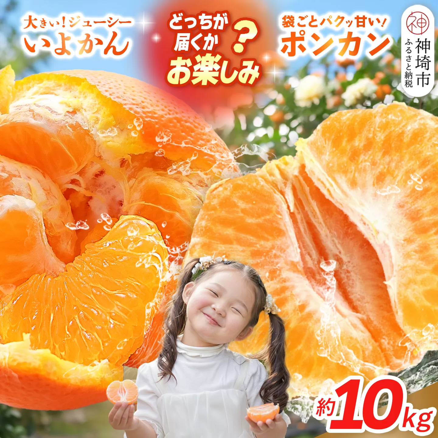 【2027年1月中旬より発送開始】伊予柑orポンカン 約10kg【みかん 柑橘 ぽんかん フルーツ デザート お楽しみ】(H116157)