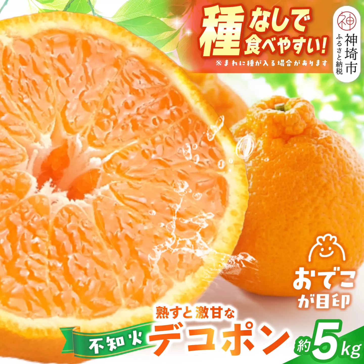 【2027年1月中旬より発送開始】不知火(デコポン) 約5kg【みかん 柑橘 清美 ポンカン フルーツ デザート】(H116137)