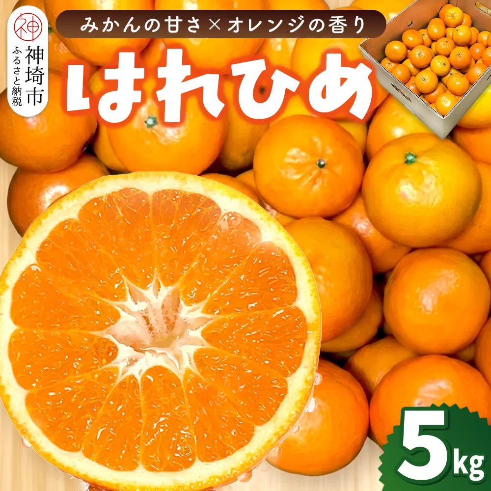 【2026年12月上旬より発送開始】はれひめ 5kg【みかん オレンジ 柑橘 フルーツ デザート さっぱり リフレッシュ】(H116151)