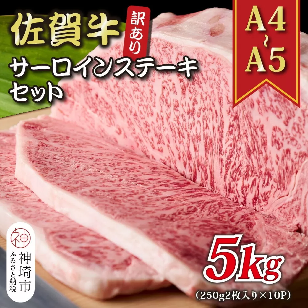 訳あり！【A4〜A5】佐賀牛サーロインステーキセット 5kg(250g 2枚入り×10P)【肉 牛肉 ブランド牛 黒毛和牛 ふるさと納税】(H112130)
