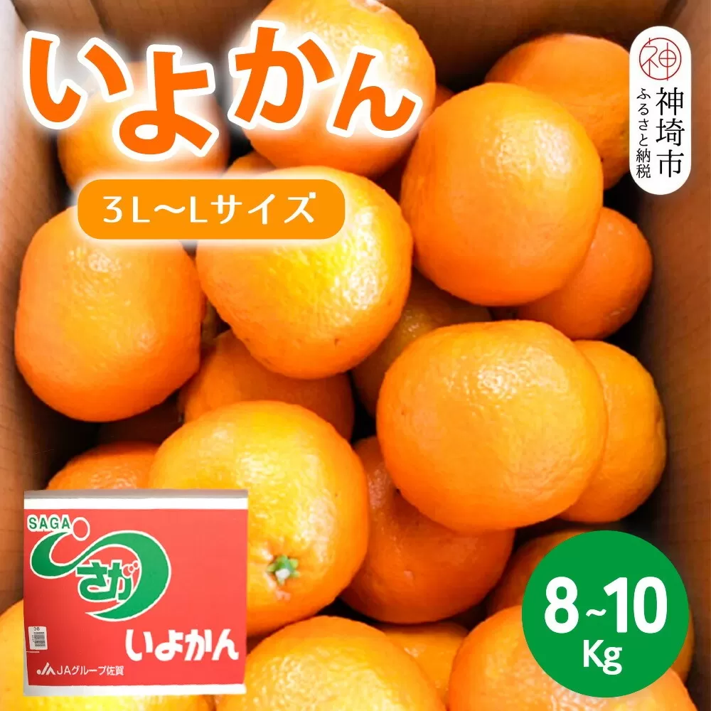 【2026年1月上旬より発送開始】いよかん 8〜10kg(3L〜Lサイズ)【みかん 柑橘 フルーツ デザート】(H116141)