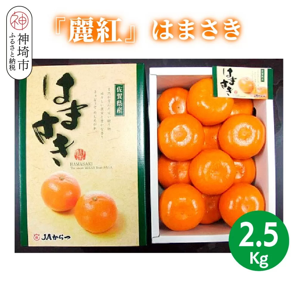 【2026年2月上旬より発送開始】【麗紅】はまさき 2.5kg【みかん 一級品 柑橘 フルーツ デザート】(H116144)