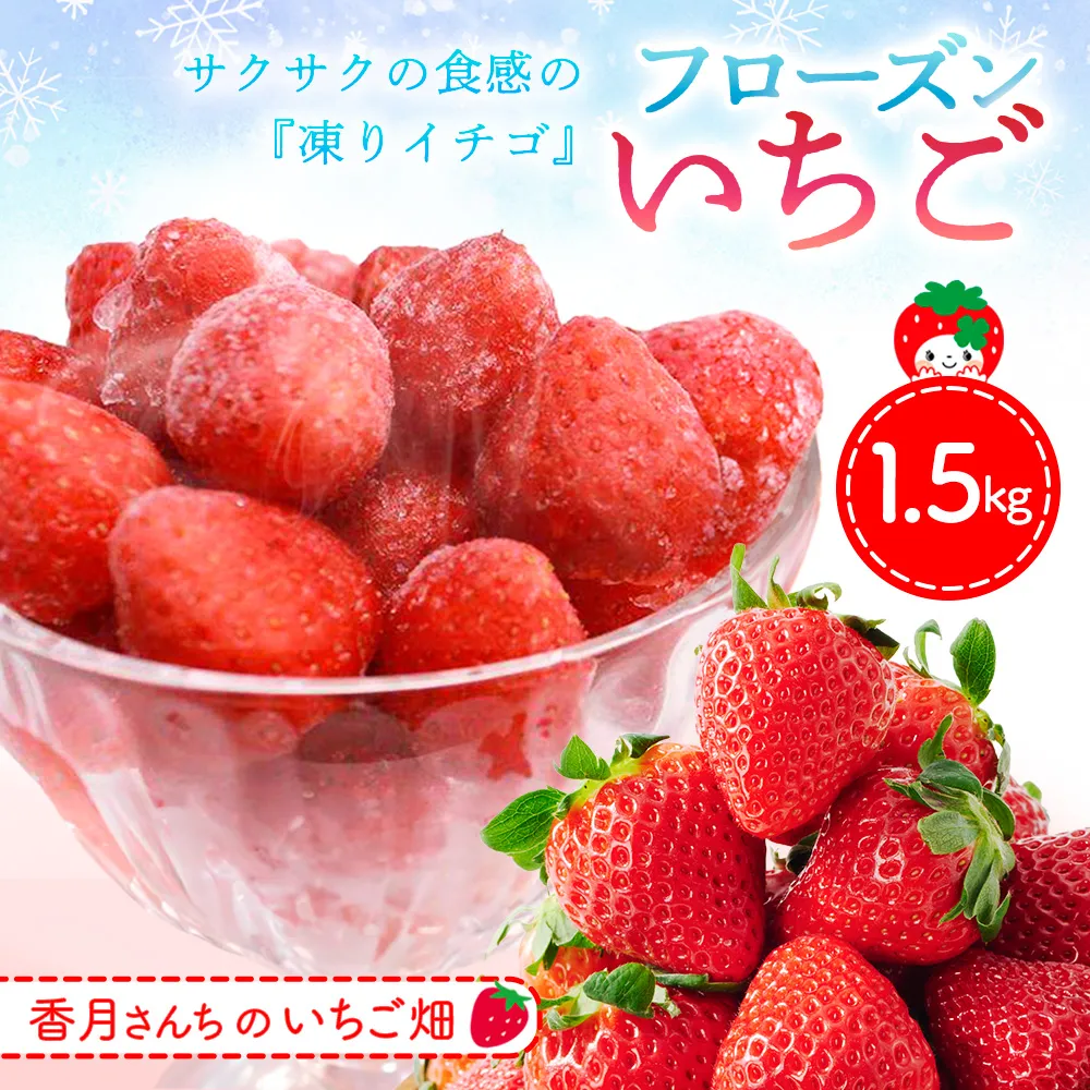 フローズンいちご 1.5kg 【フルーツ フローズン ジャム スムージー 冷凍 解凍 練乳 牛乳 砂糖】(H017122)