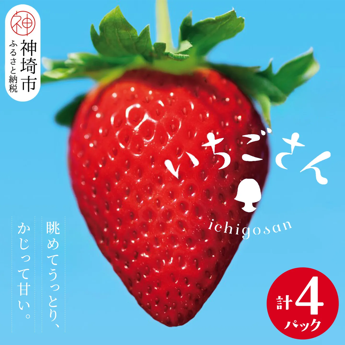 【2027年1月中旬より発送開始】いちごさん4パック【果物 くだもの フルーツ イチゴ 苺 佐賀】(H116133)