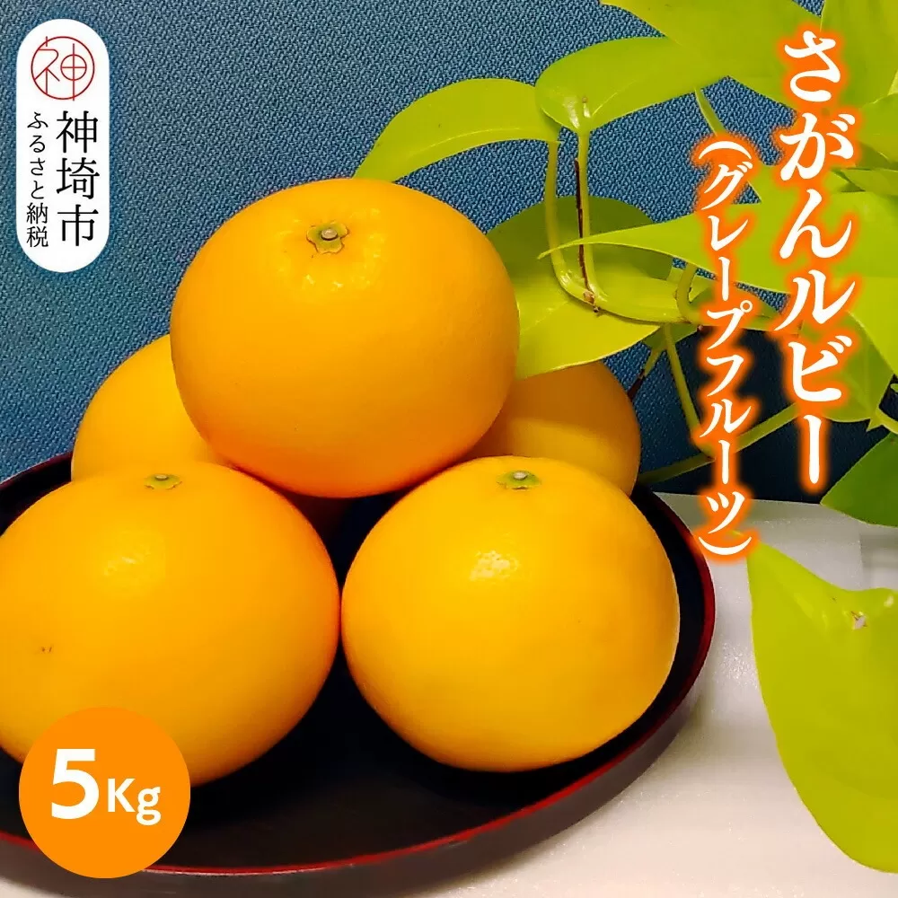 【2026年3月中旬より発送開始】さがんルビー 5kg(グレープフルーツ)【柑橘 フルーツ デザート ジューシー リフレッシュ】(H116149)