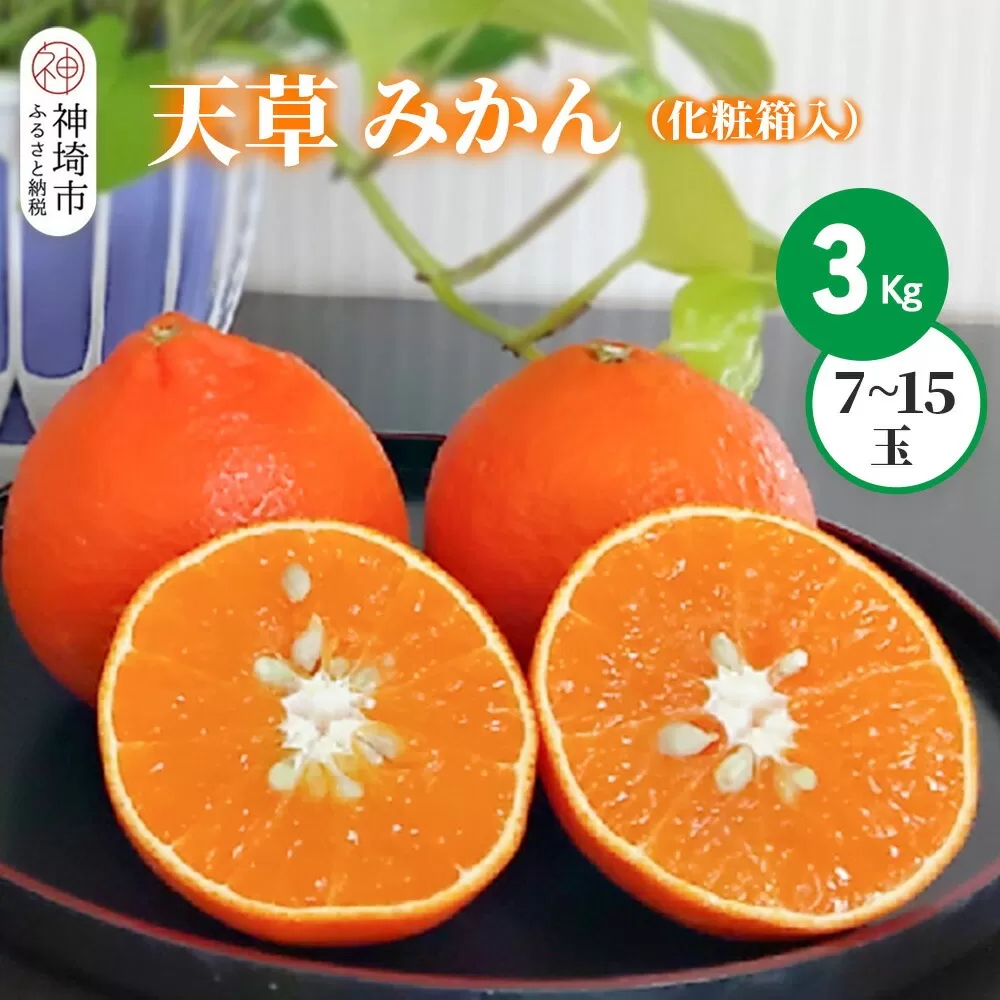 【2025年12月上旬より発送開始】天草(あまくさ)みかん 7〜15玉 3kg(化粧箱入り)【みかん 柑橘 フルーツ デザート 果汁 手土産】(H116154)