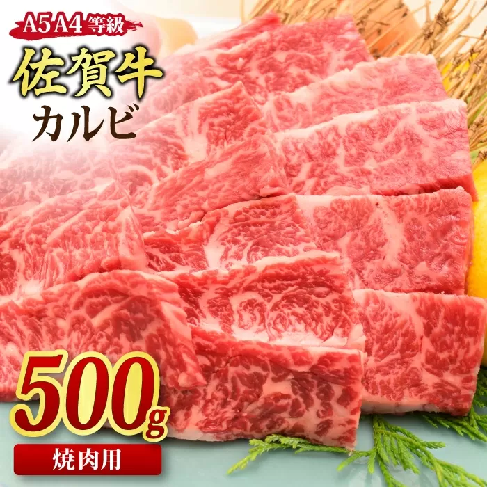 佐賀牛 カルビ 焼肉用 500g A5 A4 【希少 国産和牛 牛肉 肉 牛 焼肉】(H085176)