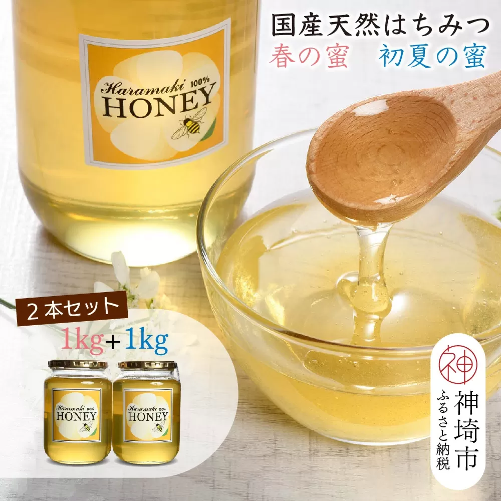 【春の蜜 & 初夏の蜜セット】2025年産 国産天然蜂蜜 春の蜜1kg & 初夏の蜜1kg【合計2kg】【蜂蜜 パンケーキ ヨーグルト 甘み フルーティ とろとろ】(H049121)